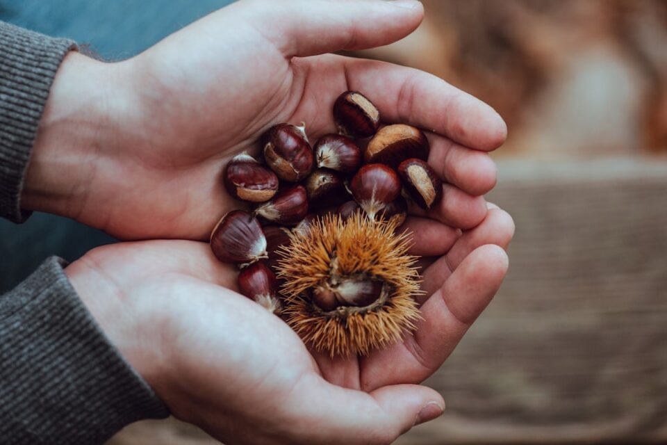 Photo Hexagon nut